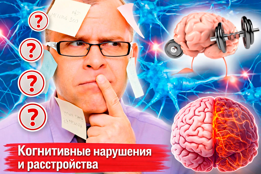 Когнитивные нарушения у пожилых: признаки и уход